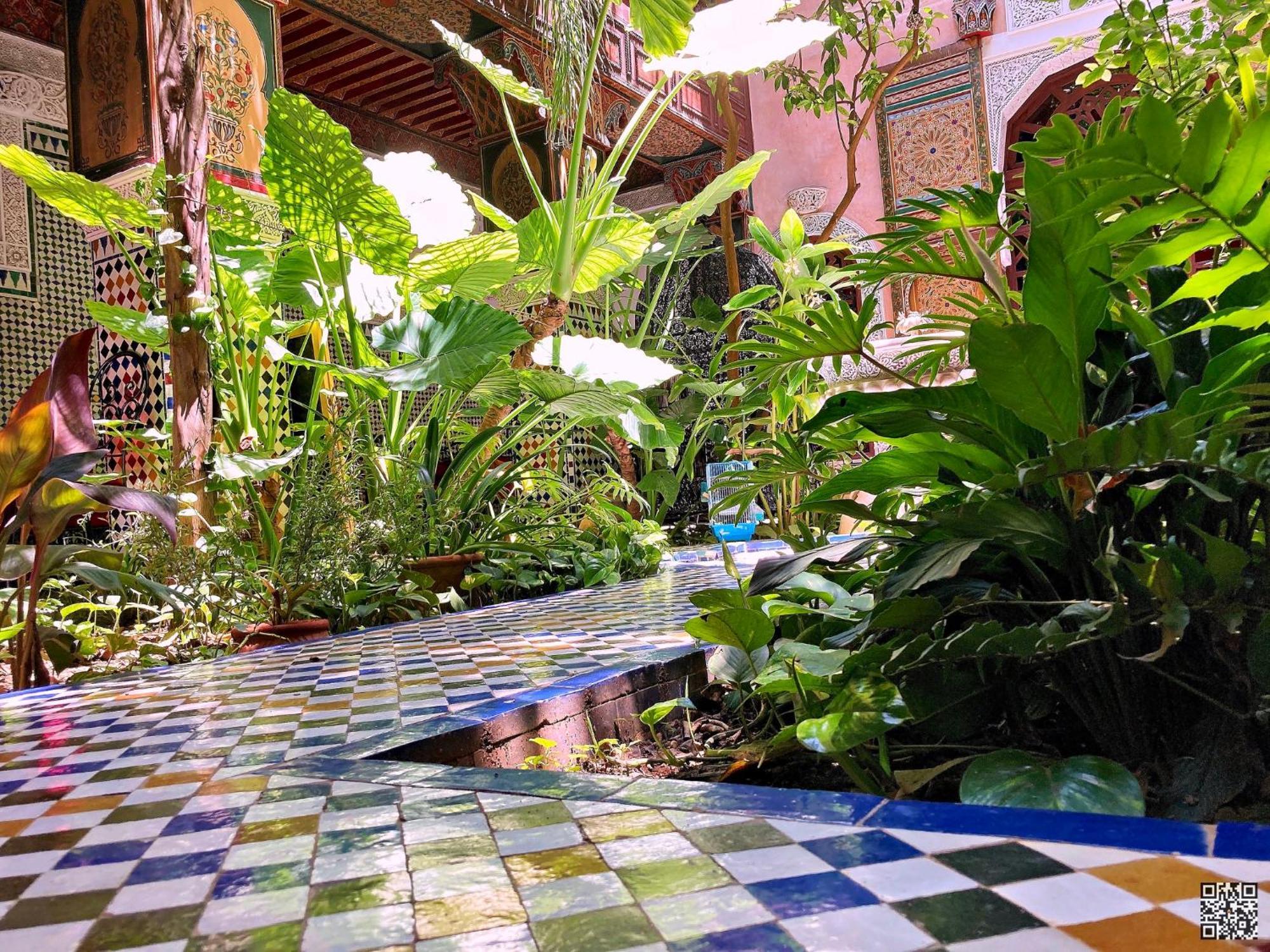 Riad Toyour- Riad Of Birds Fès Eksteriør bilde