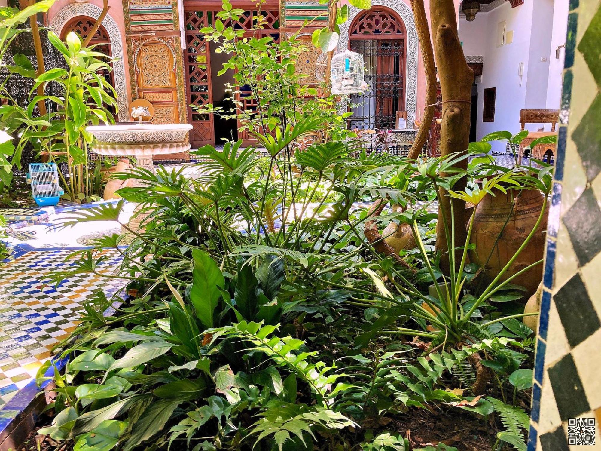 Riad Toyour- Riad Of Birds Fès Eksteriør bilde