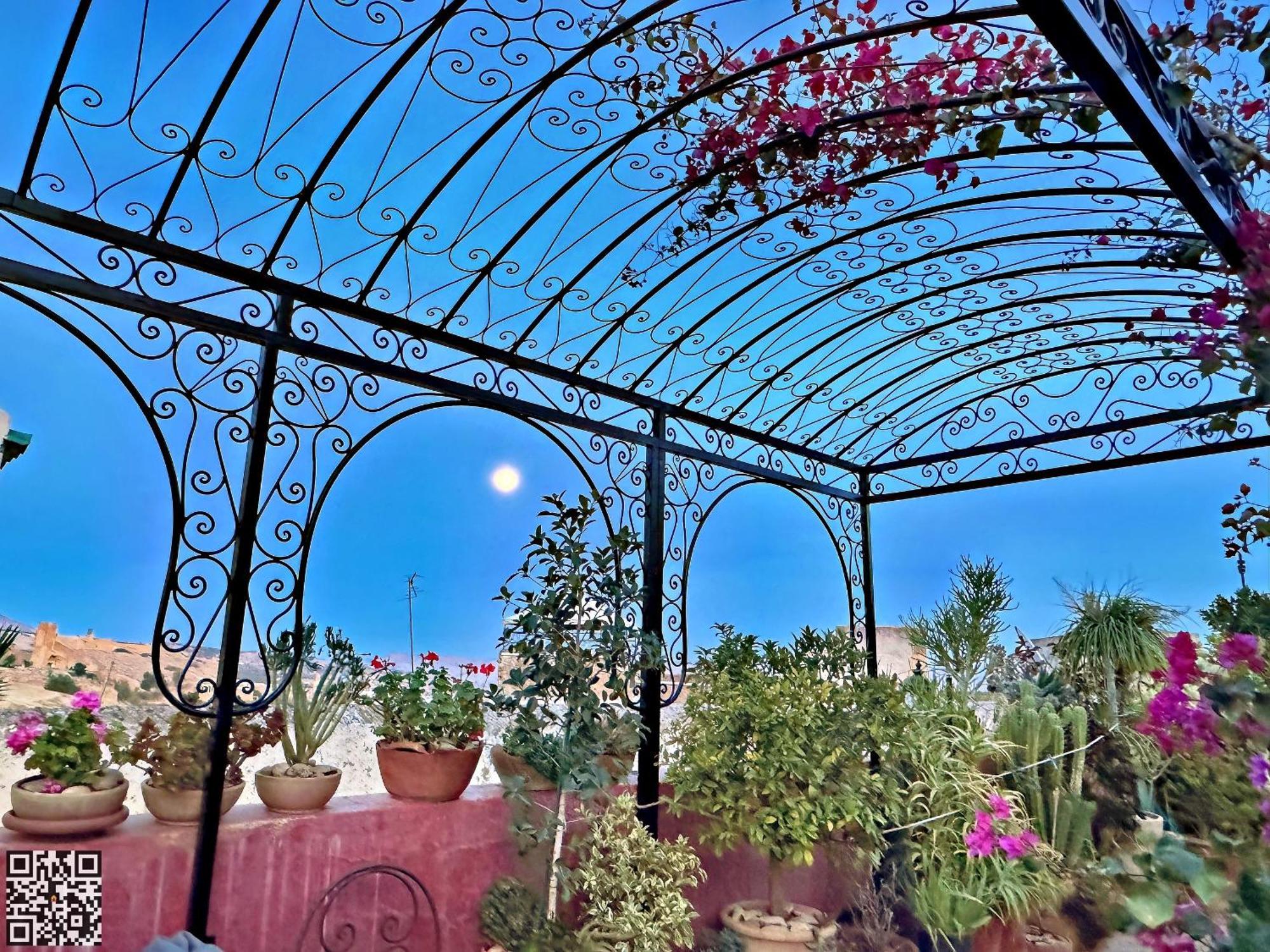 Riad Toyour- Riad Of Birds Fès Eksteriør bilde