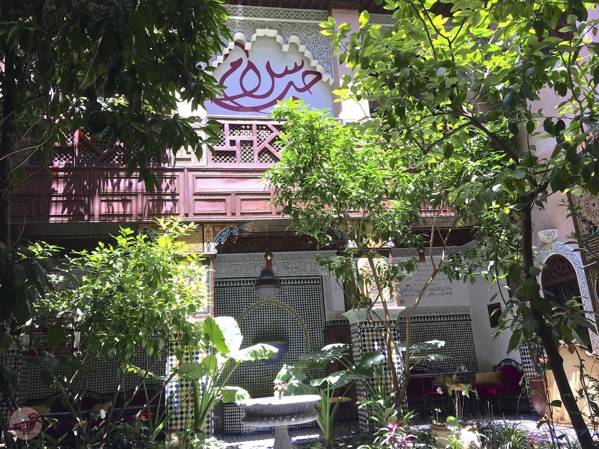 Riad Toyour- Riad Of Birds Fès Eksteriør bilde