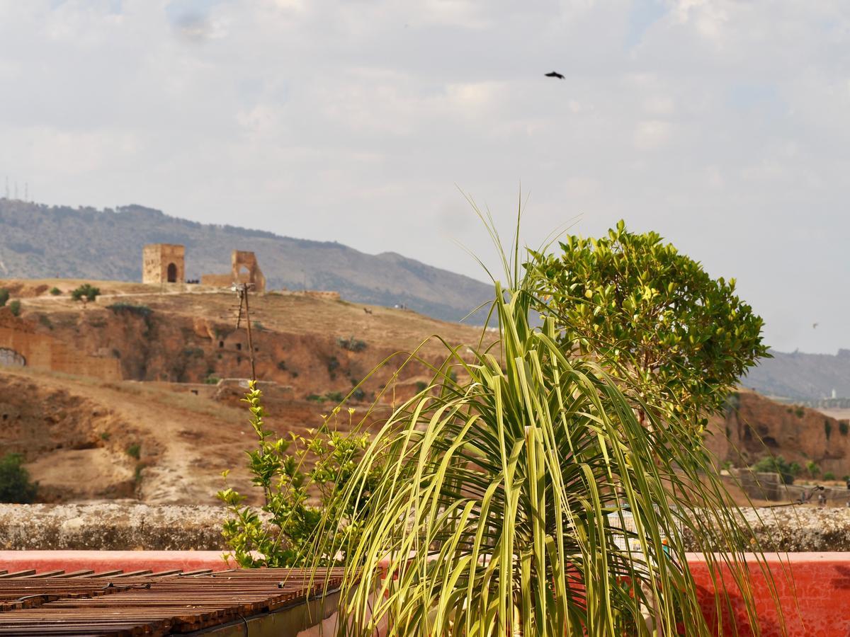 Riad Toyour- Riad Of Birds Fès Eksteriør bilde