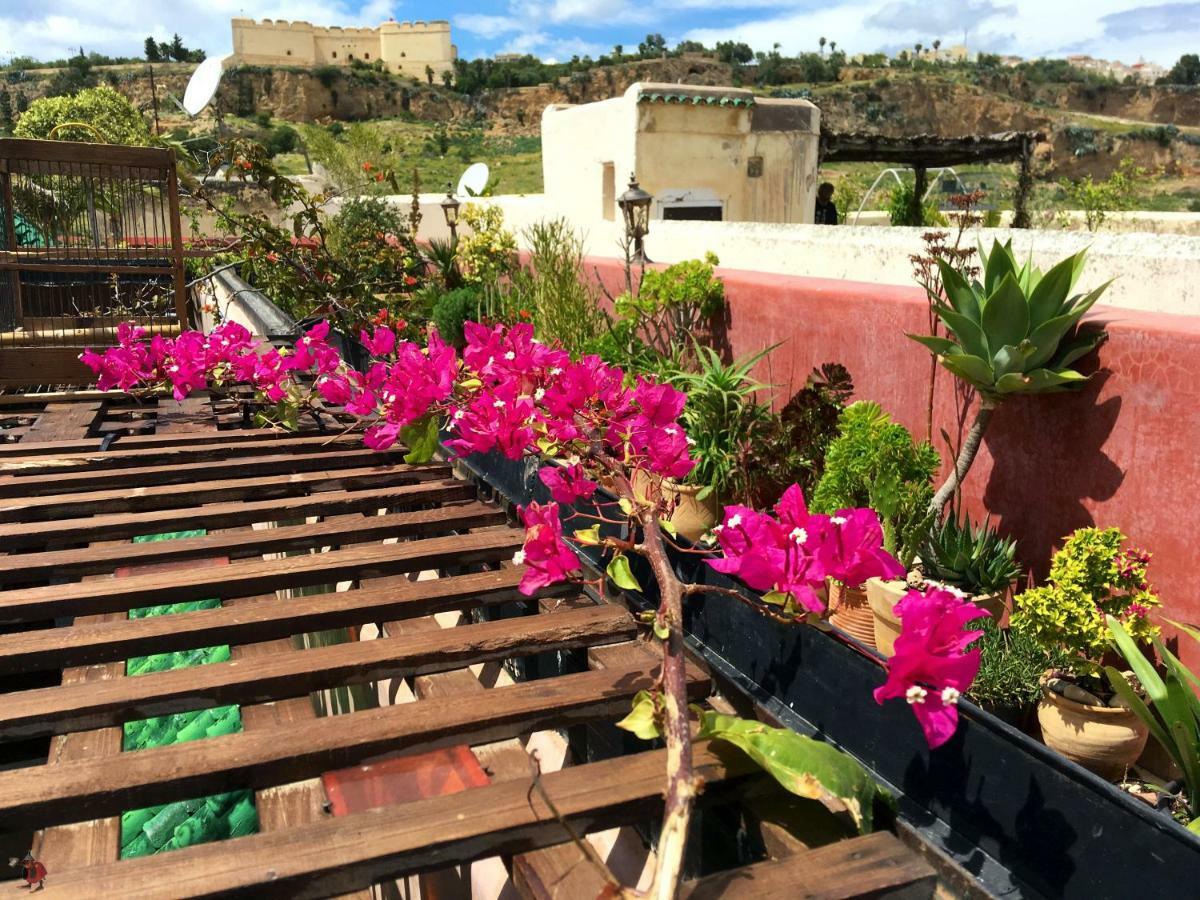 Riad Toyour- Riad Of Birds Fès Eksteriør bilde